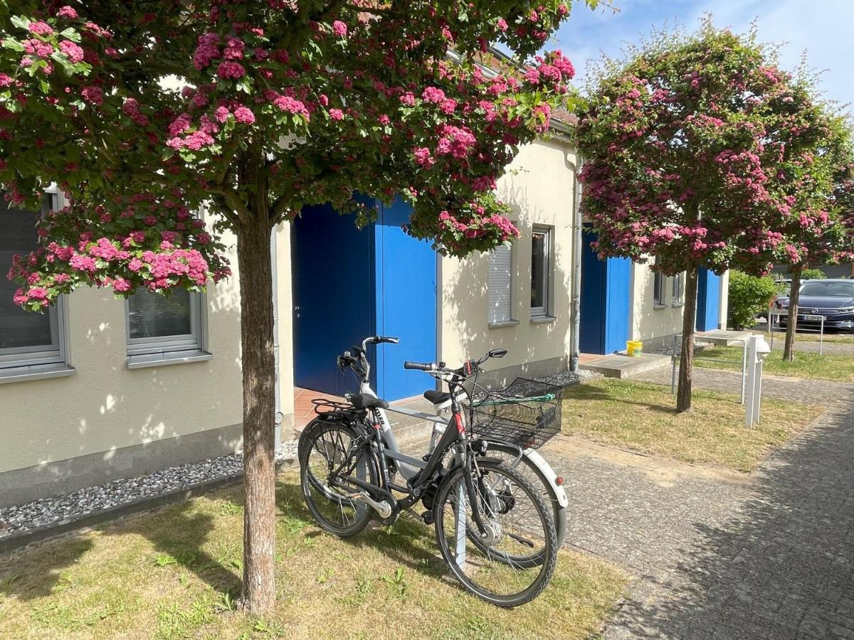 Ferienwohnung Achterwasser Mit Terrasse Dewichow Eksteriør billede