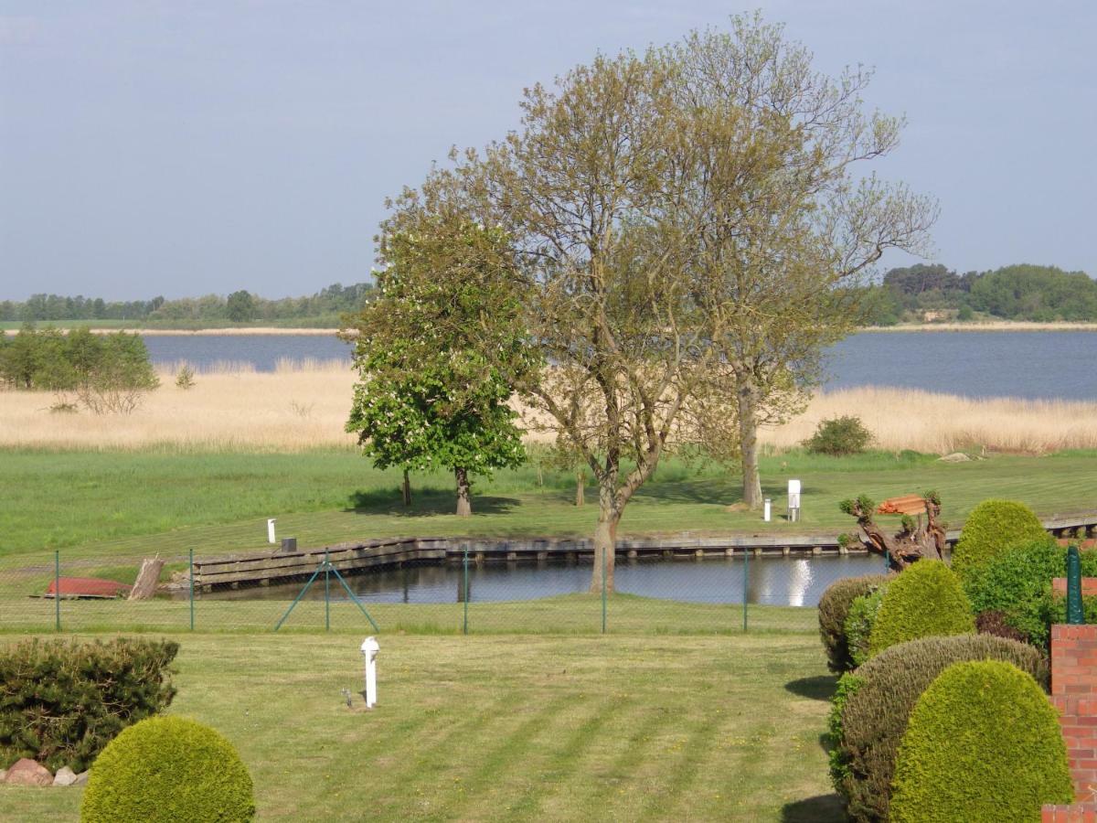 Ferienwohnung Achterwasser Mit Terrasse Dewichow Eksteriør billede
